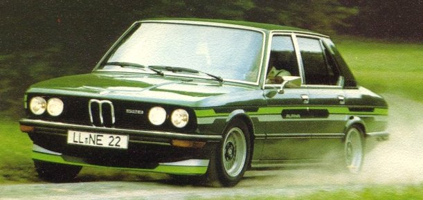 e12-alpina-1.jpg